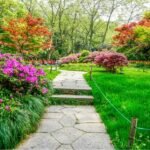 Exterior Design for Lasting Appeal and Functionality